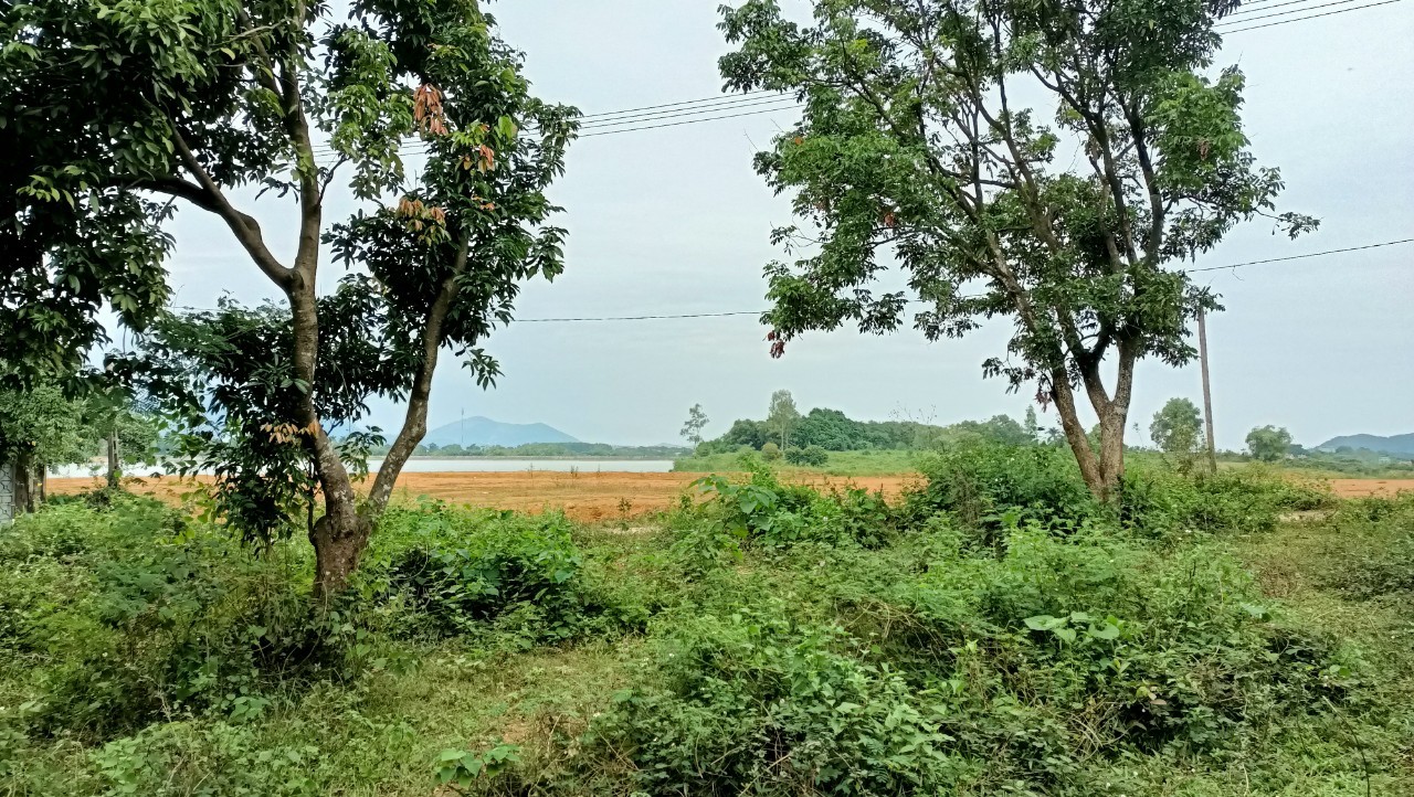 z4254970525420_d7236846fd701cbab1e477ed4fd05995