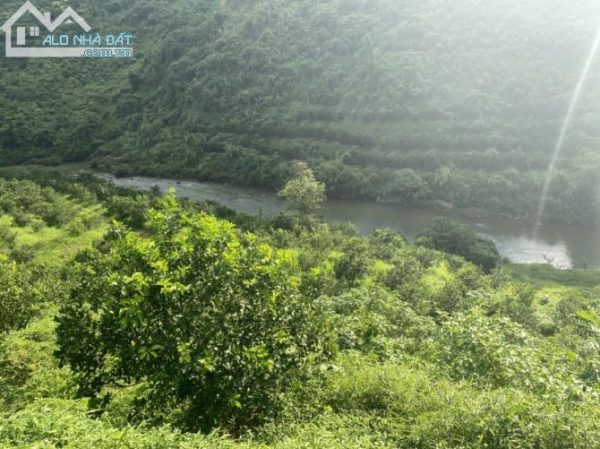 312742064-0827-ban-trang-trai-huyen-cao-phong-chinh-chu-600x449