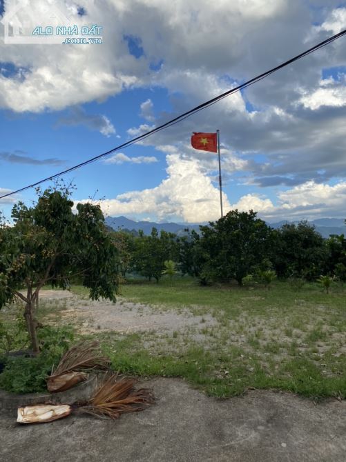 412742064-0827-ban-trang-trai-huyen-cao-phong-gia-re