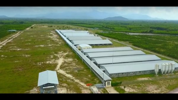 maxresdefault-600x338