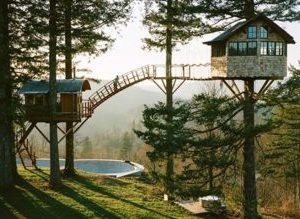 PROJECT ‘‘DONG CHANH BIRD GARDEN RESORT’’