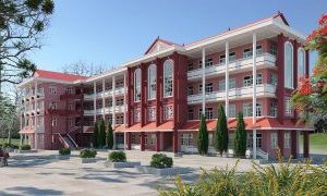 Inter-School Restructuring