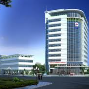 Infrastructure development services for health facilities - Hospitals